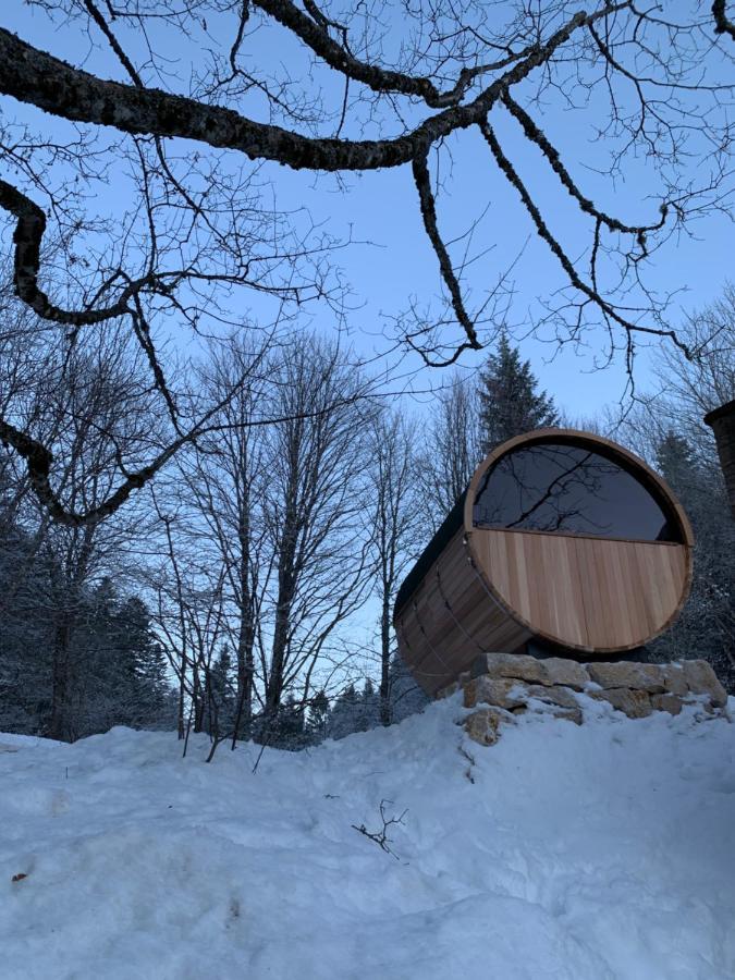 Chalet Ott - Apartment In The Mountains With Sauna Saint-Cergue Exterior foto
