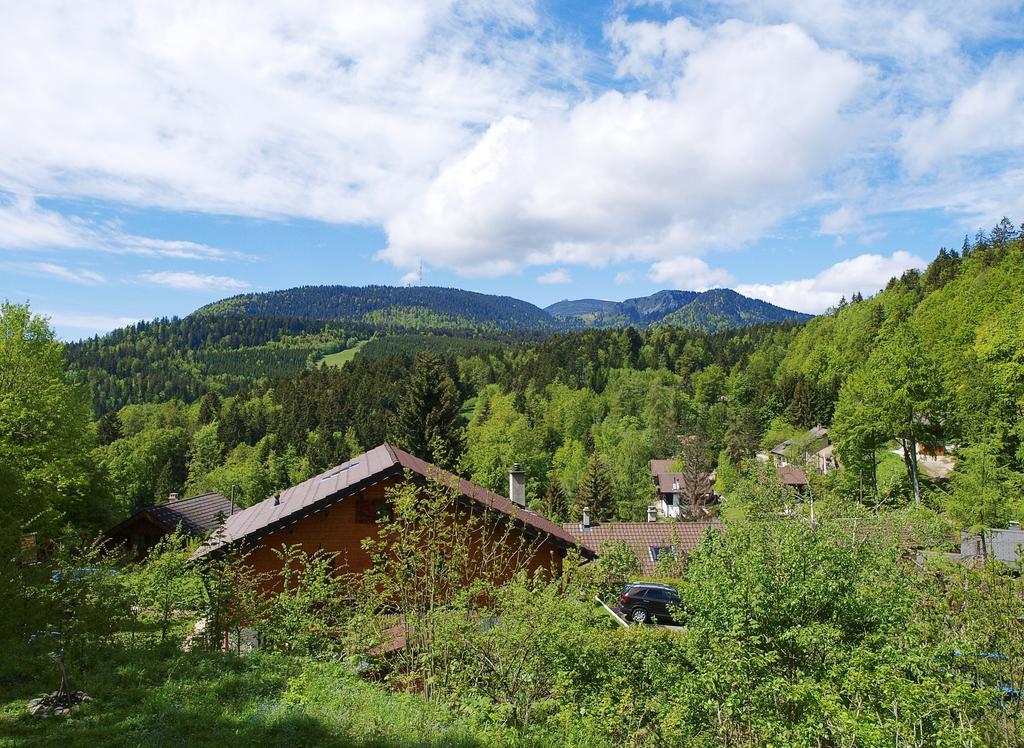 Chalet Ott - Apartment In The Mountains With Sauna Saint-Cergue Quarto foto
