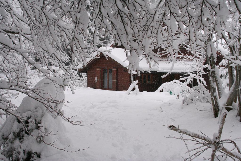Chalet Ott - Apartment In The Mountains With Sauna Saint-Cergue Quarto foto